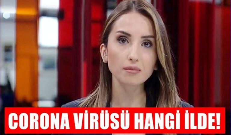 Corona virüsü hangi şehirde? Türkiye’de görülen ilk corona virüsü nerede galerisi resim 2