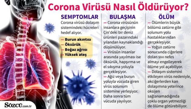 CORONA NE ZAMAN BİTECEK galerisi resim 3