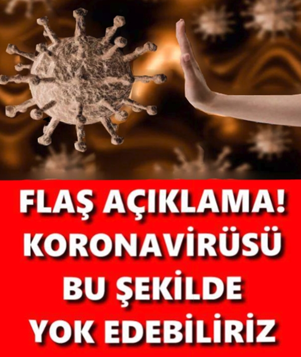 KORONAVİRÜSÜ BU ŞEKİLDE YOK EDEBİLİRİZ galerisi resim 1