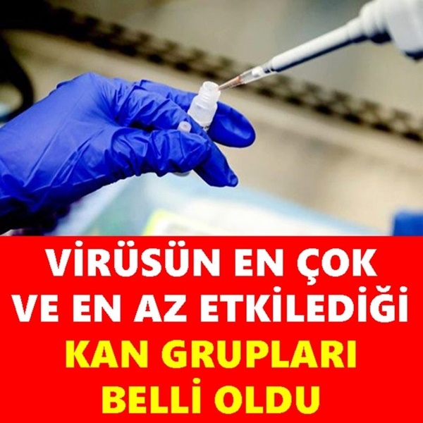 Corona Virüsün En Çok Ve En Az Bulaştığı Kan Grubu galerisi resim 1