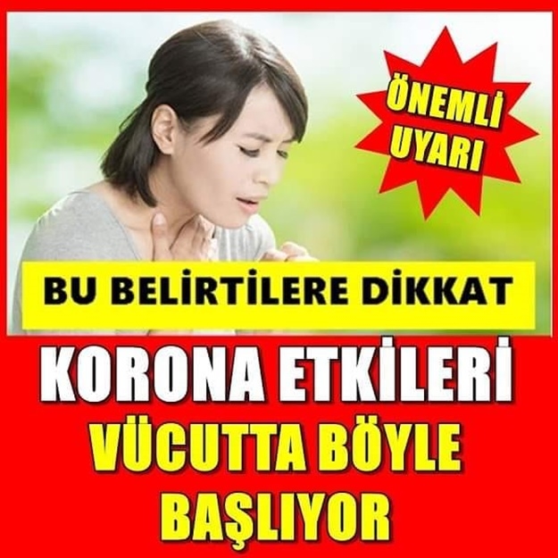 Gün Gün Etkileri. Korona Vücutta Böyle Başlıyor galerisi resim 1