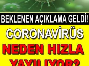 Virüs Neden Hızla Yayılıyor