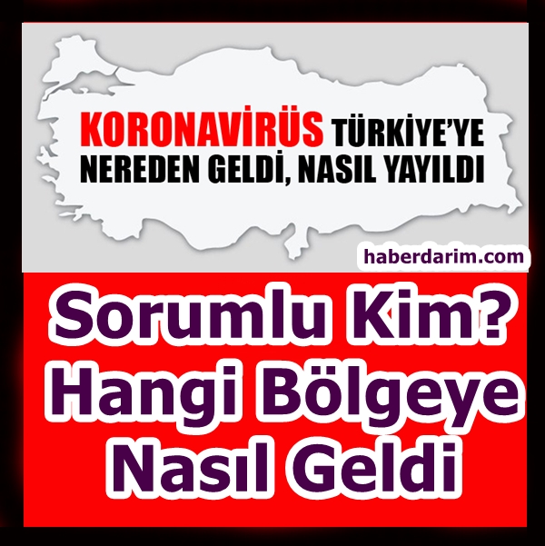 KORONAVİRÜSÜN TÜRKİYE’DE NASIL YAYILDIĞI BELİRLENDİ galerisi resim 1