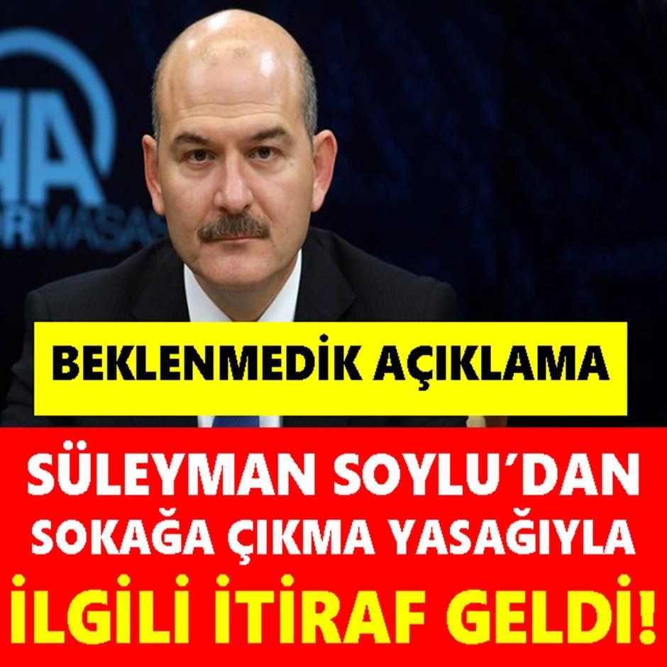 Bakan Soylu'dan Sokağa Çıkma Yasağıyla İlgili 2 Gün Sonra Gelen İti galerisi resim 2