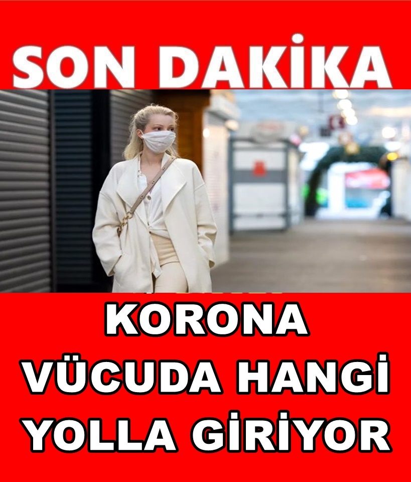 KORONA VÜCUDA NASIL GİRİYOR? galerisi resim 1