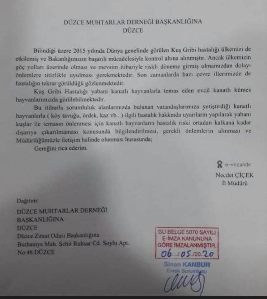 Korona Bitmeden Şimdide Kuş Gribi Salgını Uyarısı galerisi resim 4