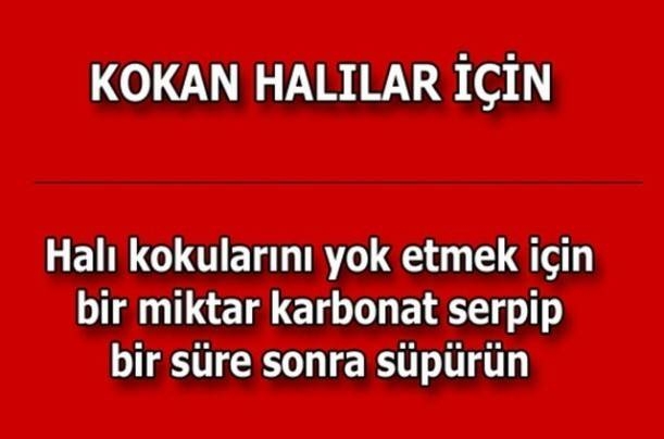 Soğanı İkiye Bölüp Pudra Şekeri Serpin Ve... Sonuca İnanamayacaksınız! galerisi resim 12