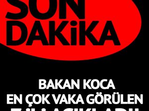 Bakan Koca En Çok Vaka Görülen 7 İli Açıkladı