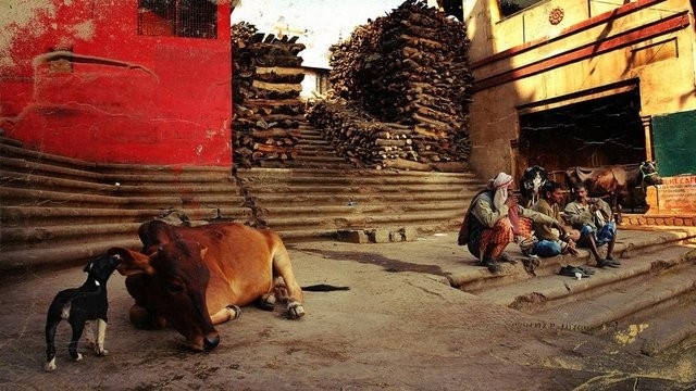 BURAYA ÖLMEK İÇİN GELİYORLAR! SOKAKLAR CESET İÇİNDE... galerisi resim 5