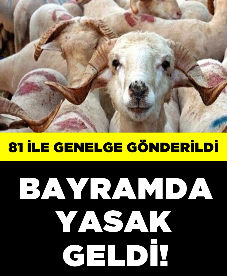 81 İle Genel Gönderildi! Yasak Geldi galerisi resim 1