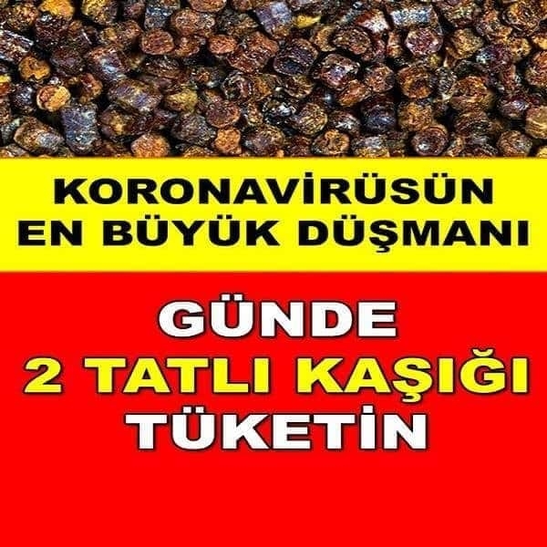 Koronavirüsün Bir Numaralı Düşmanı galerisi resim 1