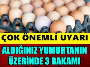 Yumurta alırken dikkat edilmesi gerekenler