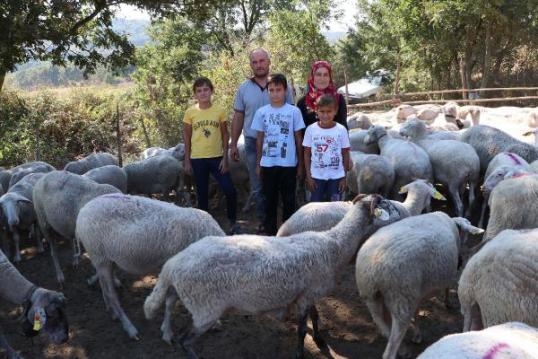 Günde 2 Saat Çalışıyorlar galerisi resim 2