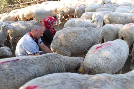 Günde 2 Saat Çalışıyorlar galerisi resim 3