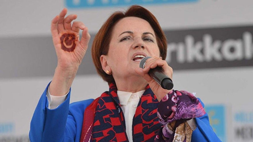 Meral Akşener'i Yasa Boğan Haber galerisi resim 2