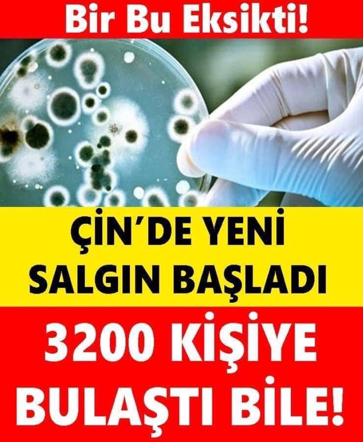 Bir Bu Eksikti Yine Çin galerisi resim 1