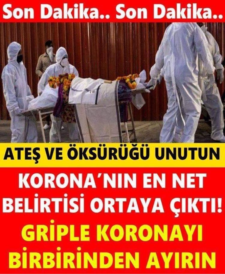 Griple Koronayı Birbirinden Ayırın galerisi resim 1