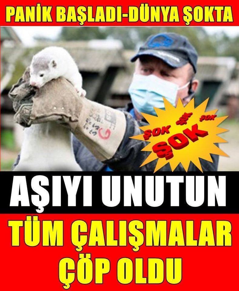 İnanılmaz Gelişme galerisi resim 1