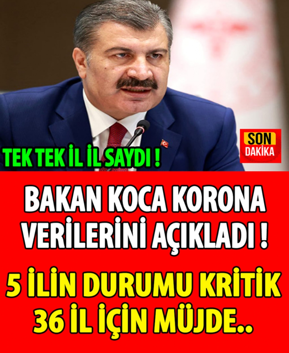 TEK TEK İL SAYDI DURUM KRİTİK galerisi resim 1