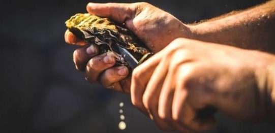 Tıp dünyası bu mucizeyi konuşuyor! Erkekler buna bayılacak bu besin cins galerisi resim 8