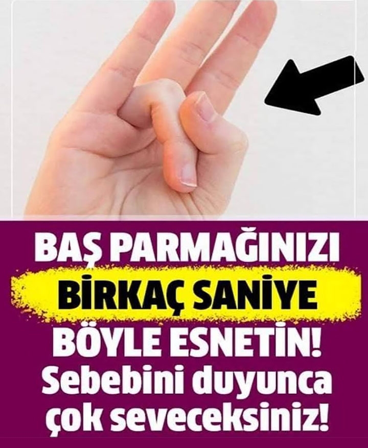 İnsan beyinde en büyük bölüm elimizi ve parmaklarımızı kontrol eden kısı galerisi resim 1