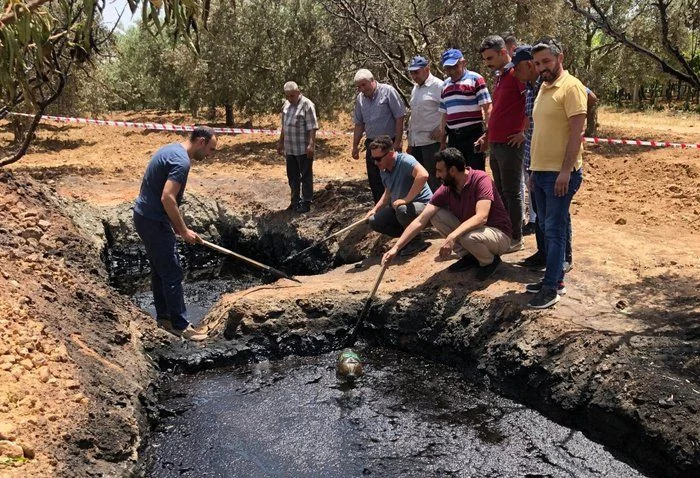 Tarlasından petrol çıktı galerisi resim 2