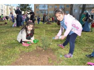 Kartepe’nin Minik Elleri Ağaç Dikti