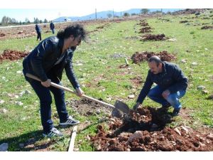 Didim’de Kamu Çalışanları Fidan Dikti