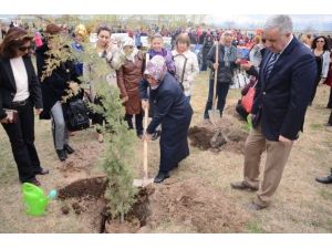 Yeşil Aksaray Çalışmalarına Hanım Eli Değdi