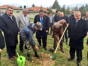 Şehit Pilotlar Adına Hatıra Ormanı Oluşturuldu