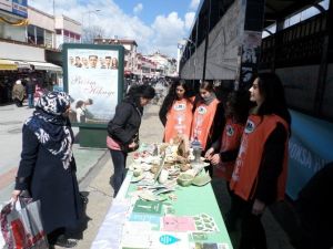 Dünya Ormancılık Ve Su Gününü Birlikte Kutlamak İçin Stant Açtılar