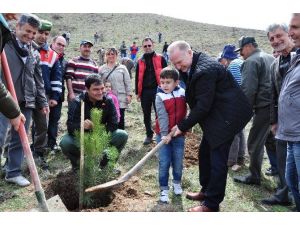 Ürgüp’te 8 Bin Fidan Toprakla Buluşturuldu