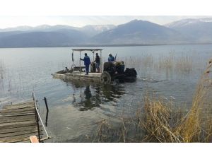 Sapanca Gölü Çevresinde Temizlik Çalışması Yapıldı