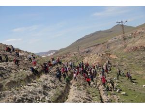 Öğrenciler Çanakkale Şehitleri İçin Fidan Dikti