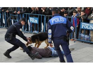 Polis Köpeklerinin Gösterisi Nefes Kesti