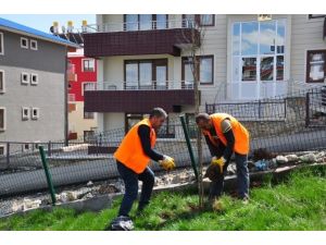 Tunceli Belediyesi Yeşillendirme Çalışmalarını Sürdürüyor