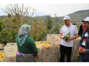 Başkan Tarhan, Limon Yetiştiricileriyle Bir Araya Geldi