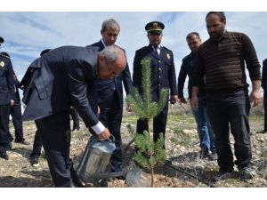 Iğdır’da ‘Bir Dikili Ağacımız Olsun’ Projesi