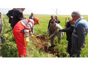 Bu Projeyle Yazıhan Yeşillenecek