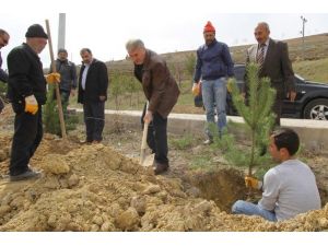 Yeşil Bayburt İçin Çalışmalar Devam Ediyor