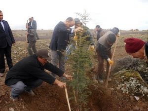 Altunhisar’da Ağaç Dikme Seferberliği