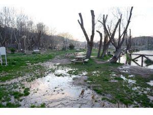 Tabiat Parkındaki Göl Suyu Fazla Yağış Alınca Taştı