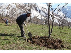 Çözüm Süreci Boşaltılan Köylere Bahar Getirdi