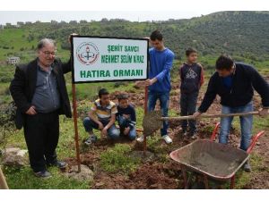 Şehit Savcı Mehmet Selim Kiraz’ın Adı Hatıra Ormanında Yaşayacak