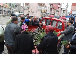 Orman İşletmesinden Bedava Fidan