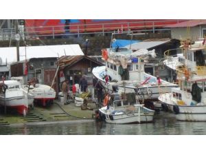 Karadeniz’de Av Sezonu Erken Bitti