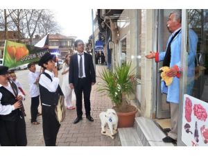 Çiğdem Şenliği’nde Renkli Görüntüler