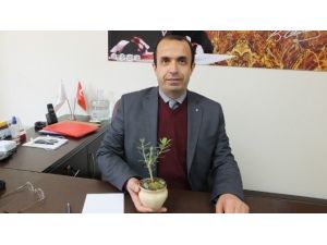 Burhaniye’de Zeytinyağı Ortak Akıl Toplantısı Yapılacak