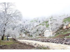 Bahar’ın Kış’la Buluşması