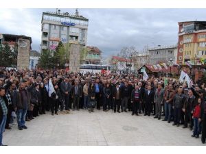 HDP, Tunceli Bürosunun Açılışını Gerçekleştirdi